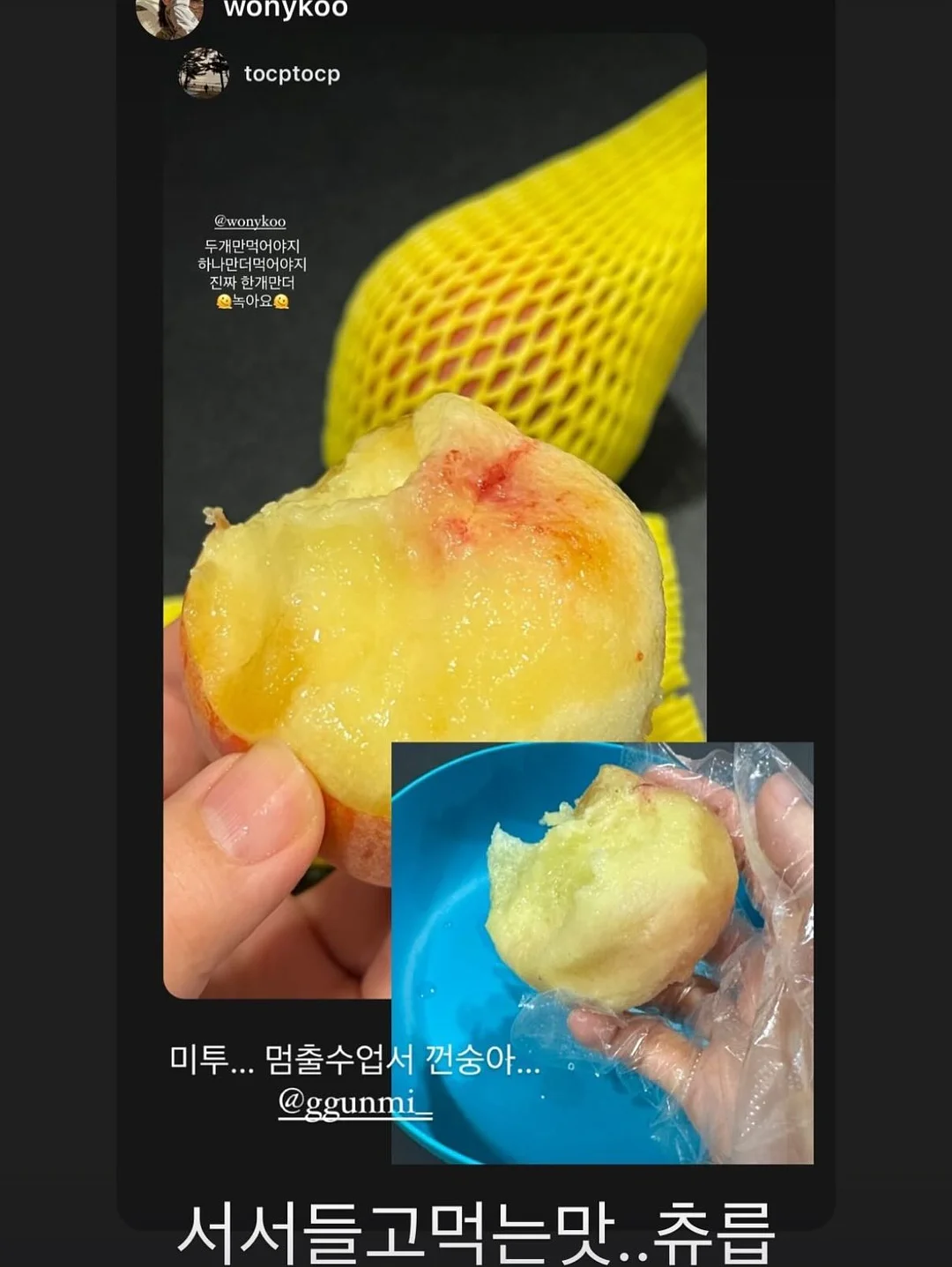브리트니 레오파드 그래픽 티셔츠 14