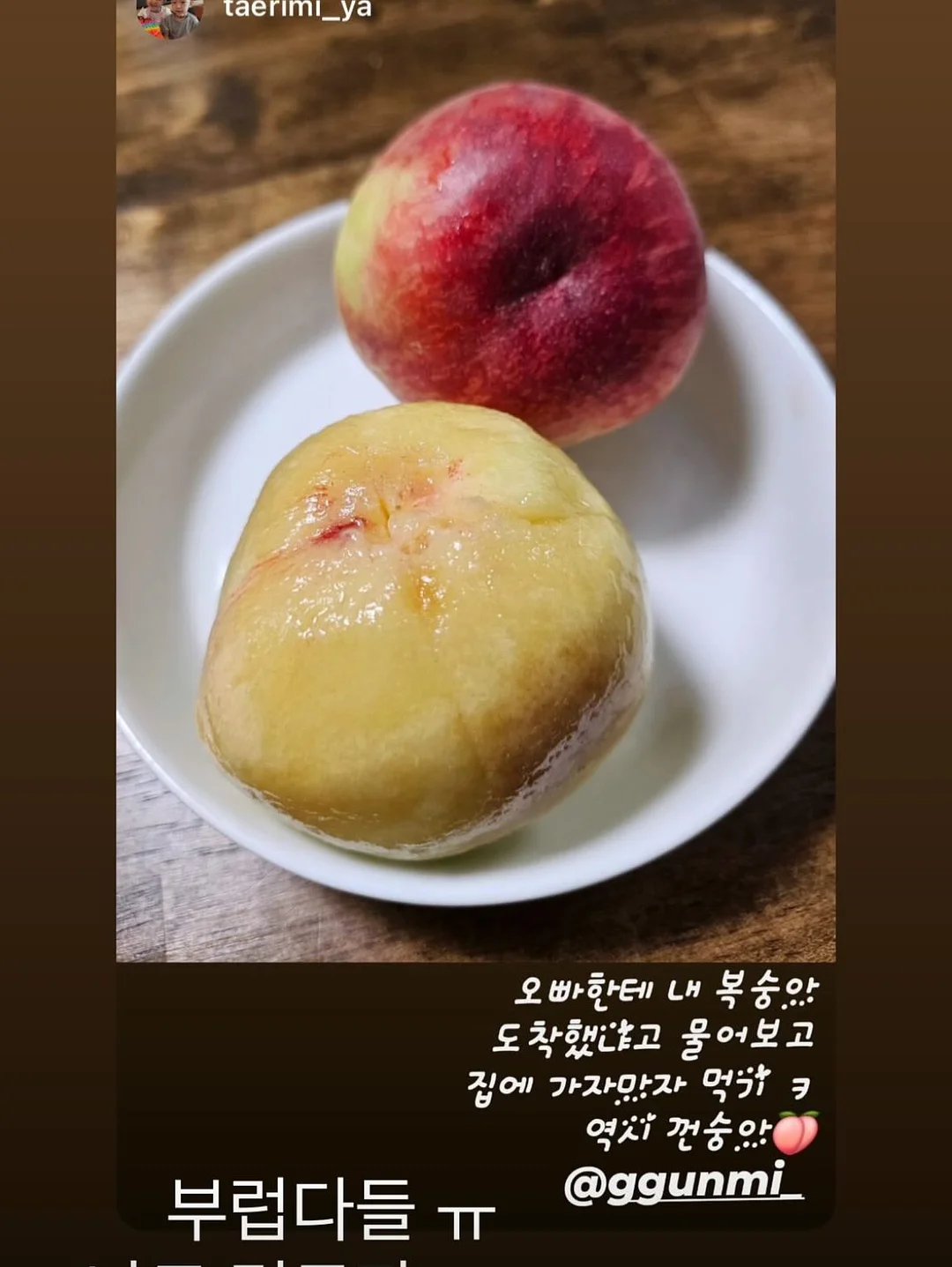 브리트니 레오파드 그래픽 티셔츠 16