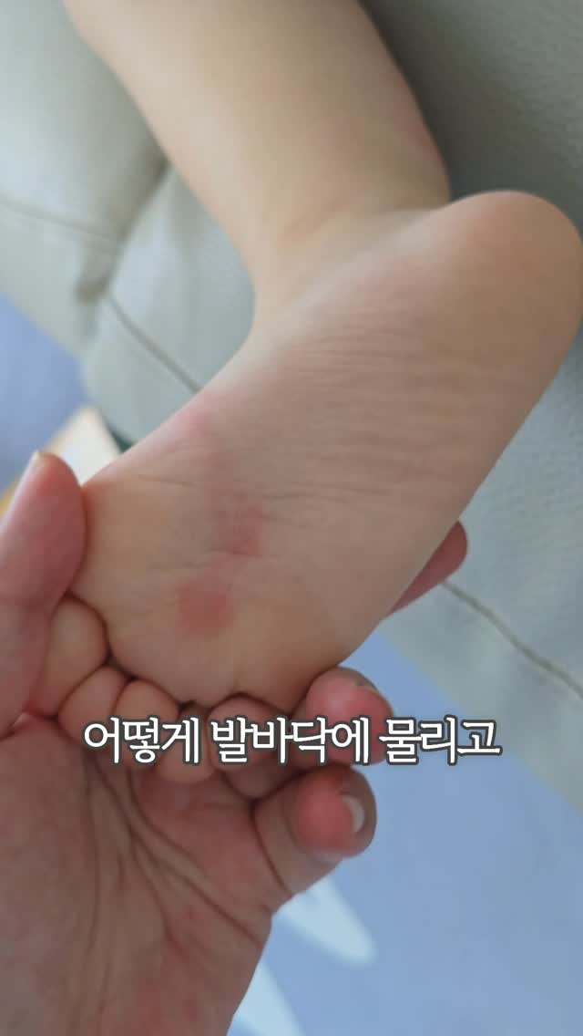 브리즈티