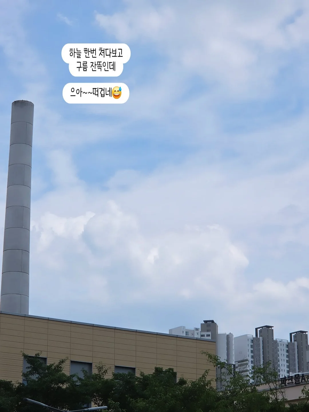 바스켓 반팔티셔츠 4