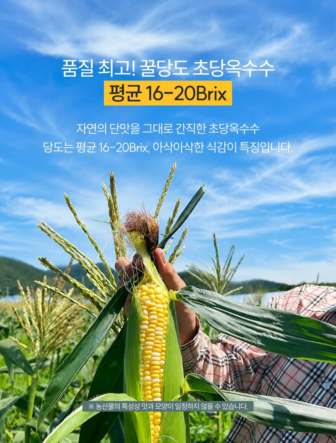 해뜰목장 입장료 1