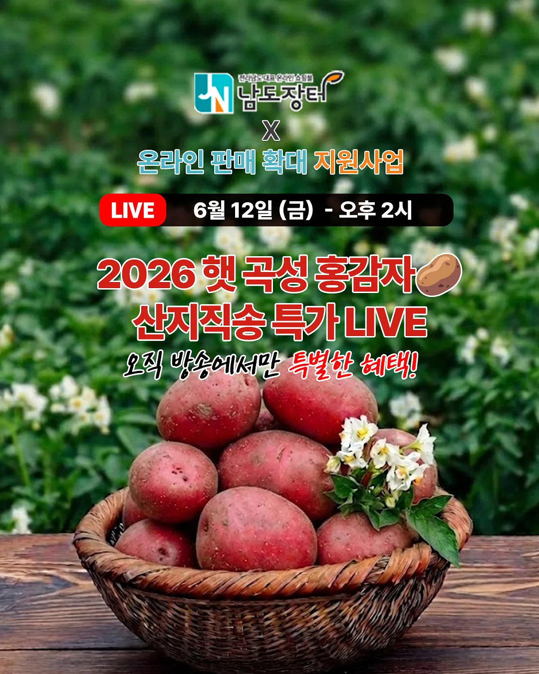 아디다스 여름 통기성 운동화 1