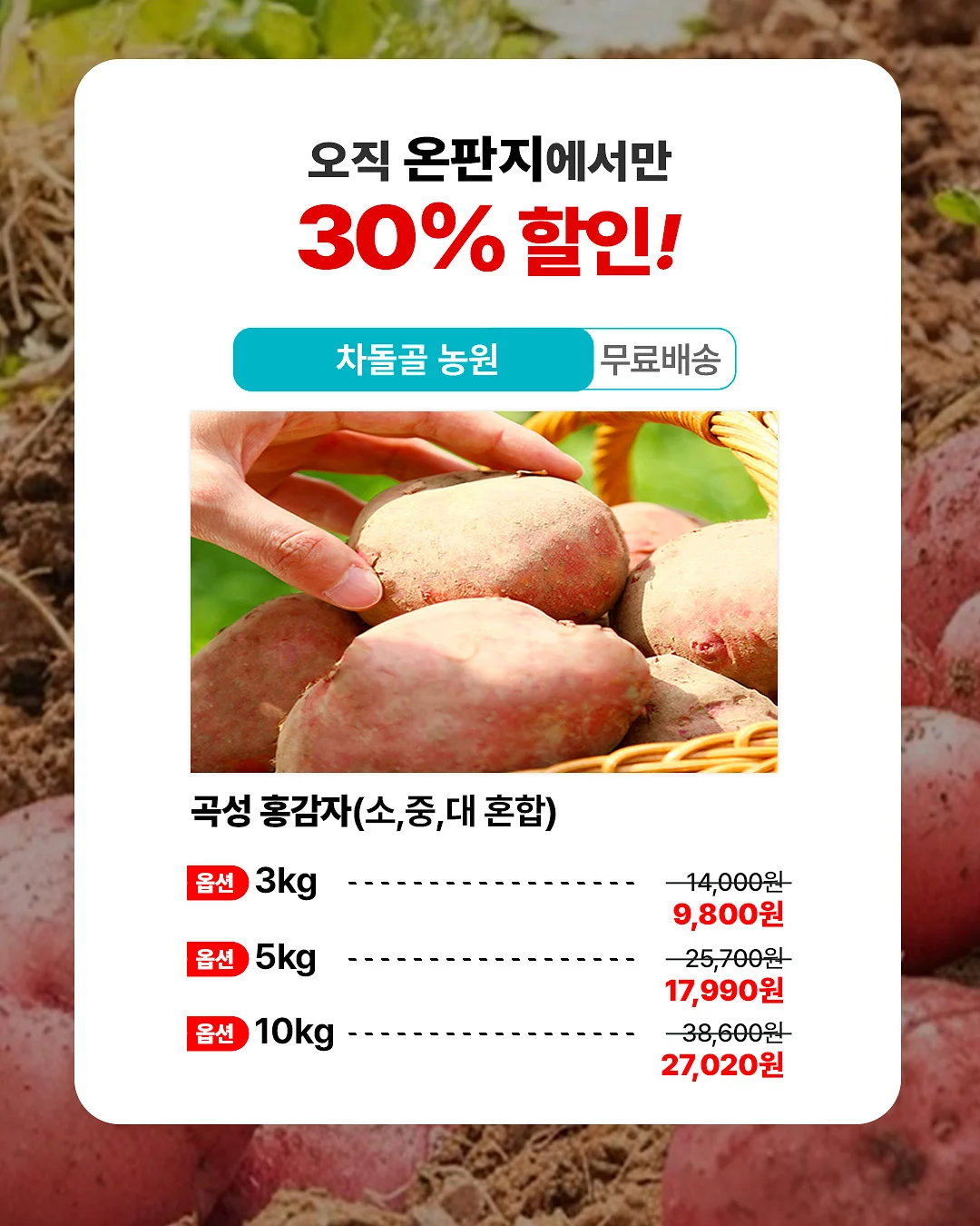 아디다스 여름 통기성 운동화 2