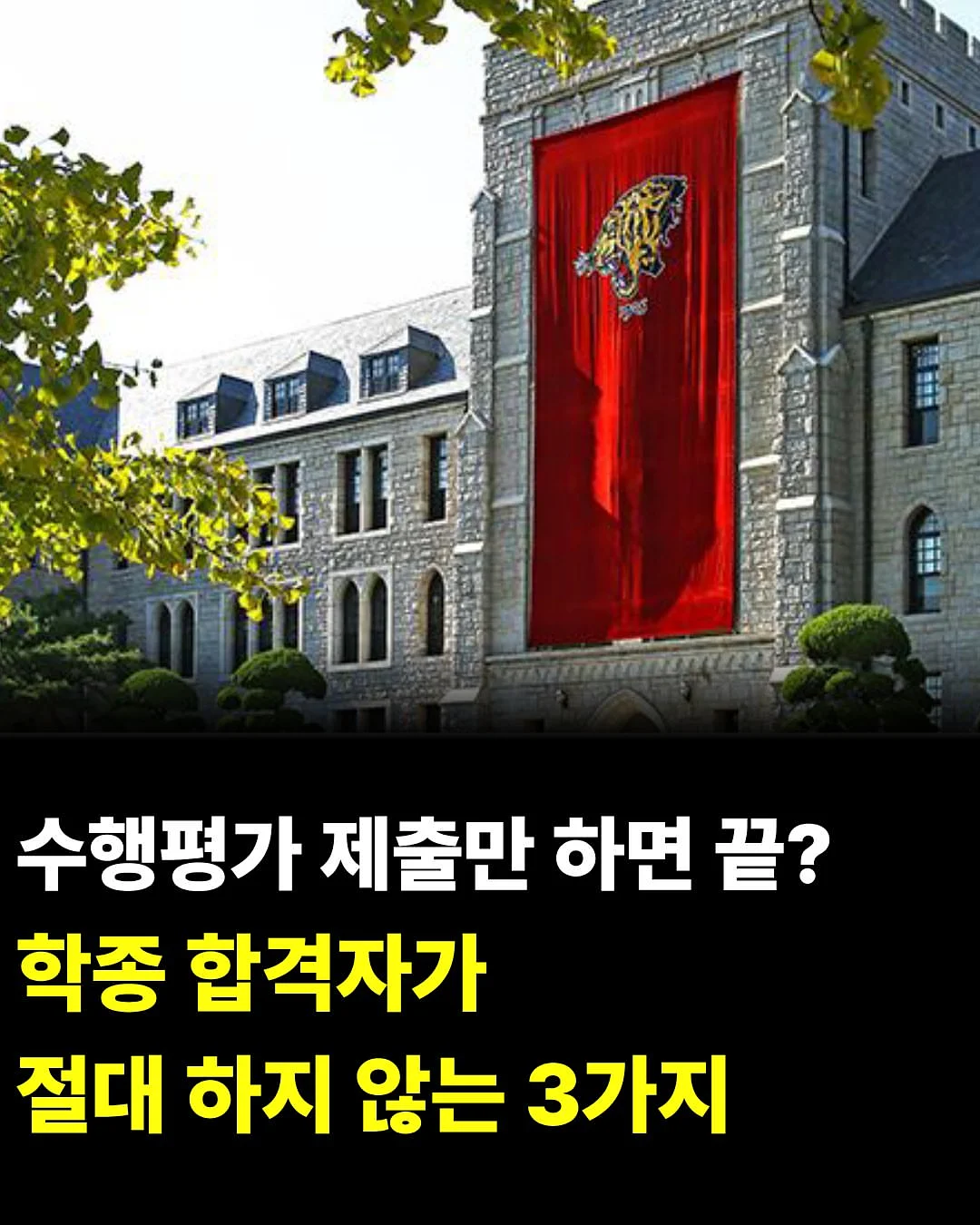 젤리빈 수영복