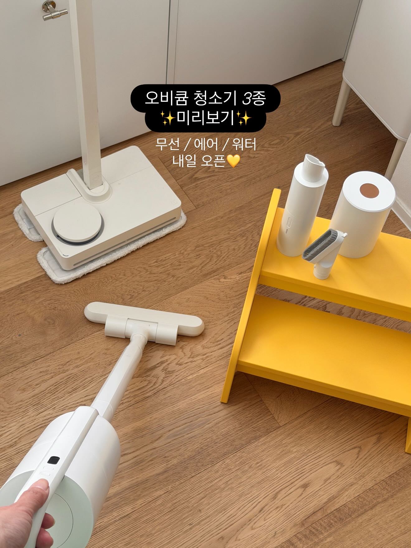 피데기 반건조 오징어 10마리 1