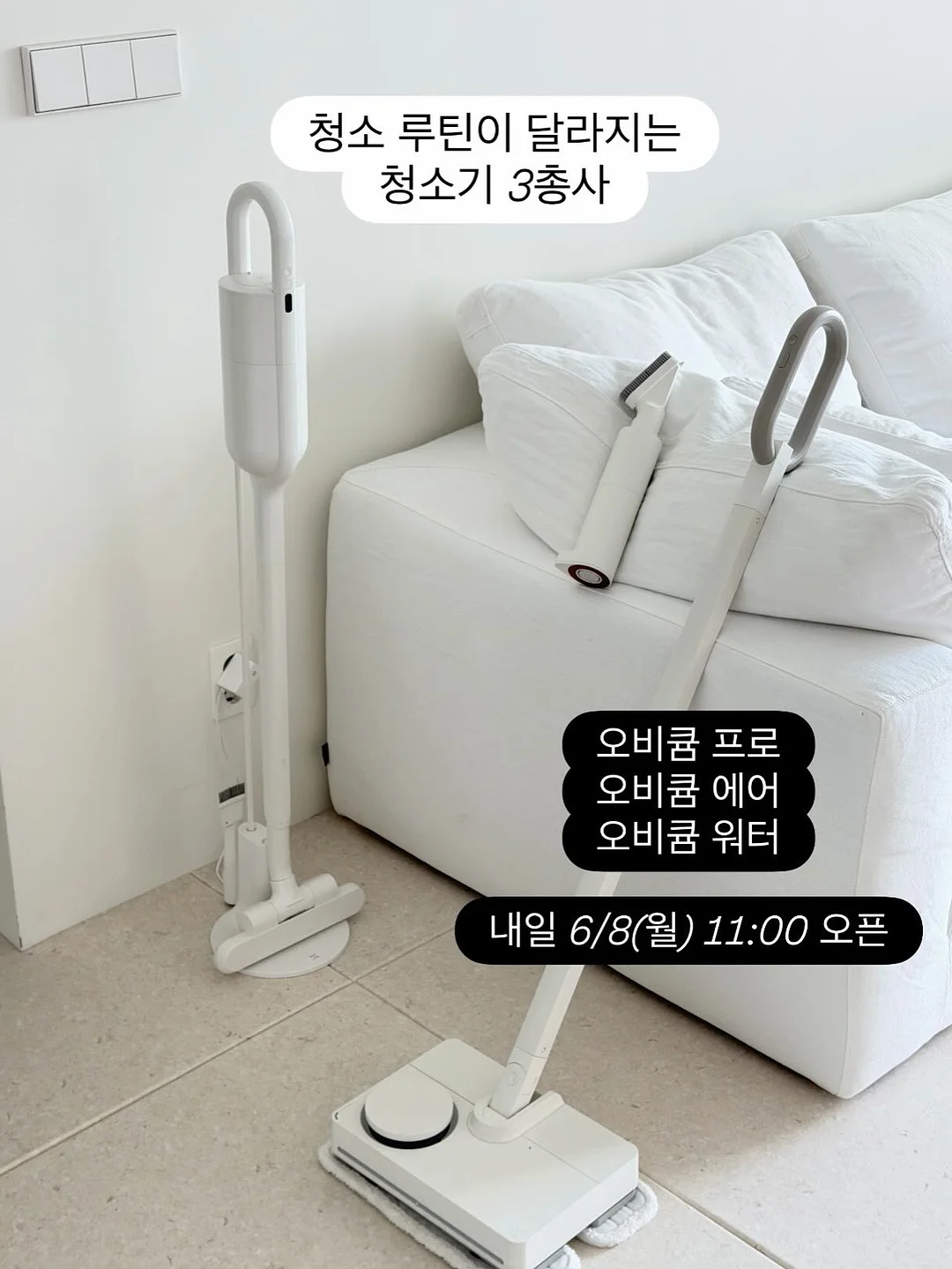 피데기 반건조 오징어 10마리 8