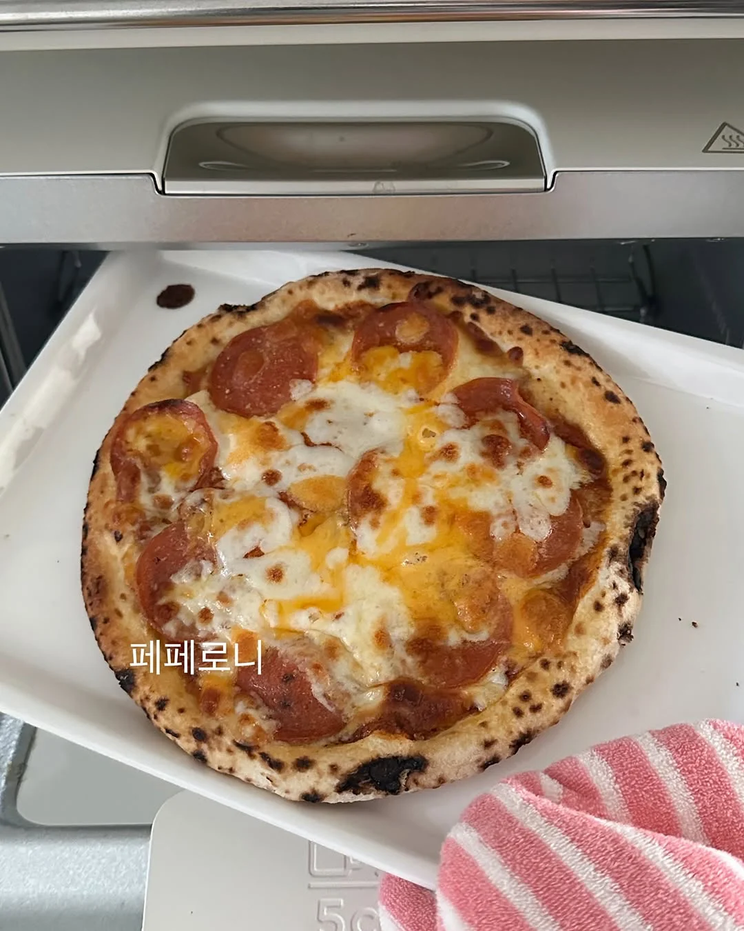 실리실라스 쇼티 타이츠 4