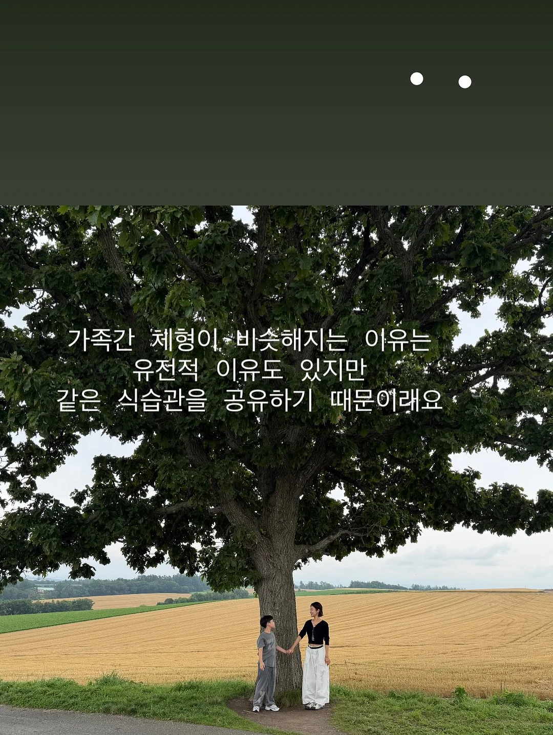 플리츠 퍼플+브라운 조합 3