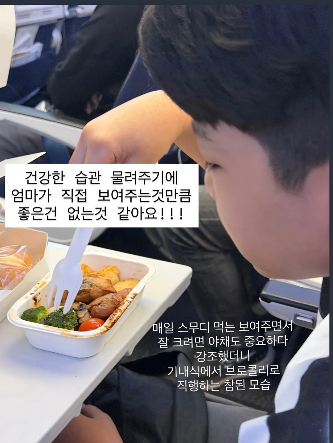 플리츠 퍼플+브라운 조합 4
