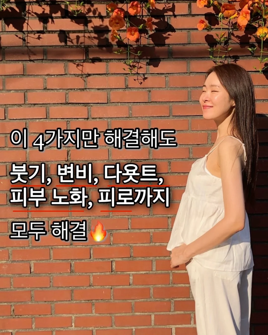 테리스 오렌지 초콜릿 12