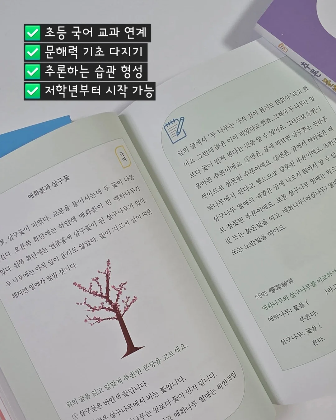 음식물 찌꺼기 안 붙는 수세미 10