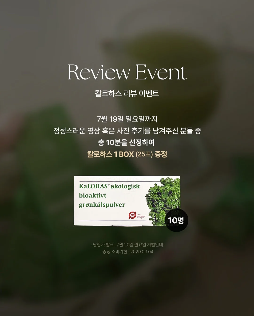 브라이튼 실버 플레이티드 참 5