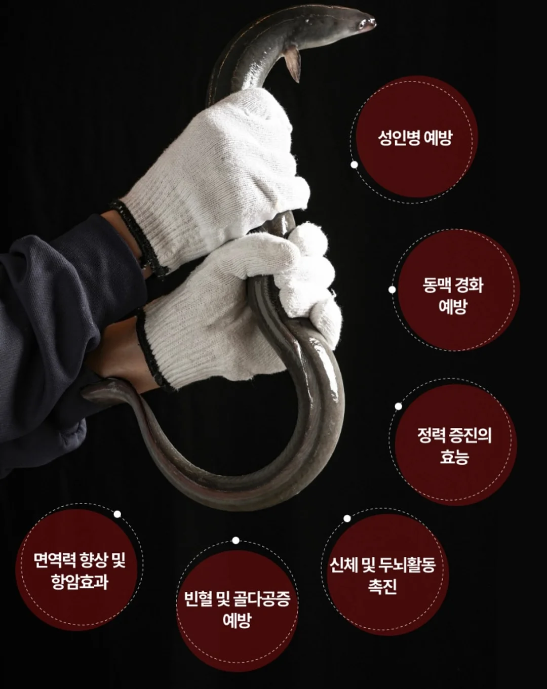 호피케이스 16