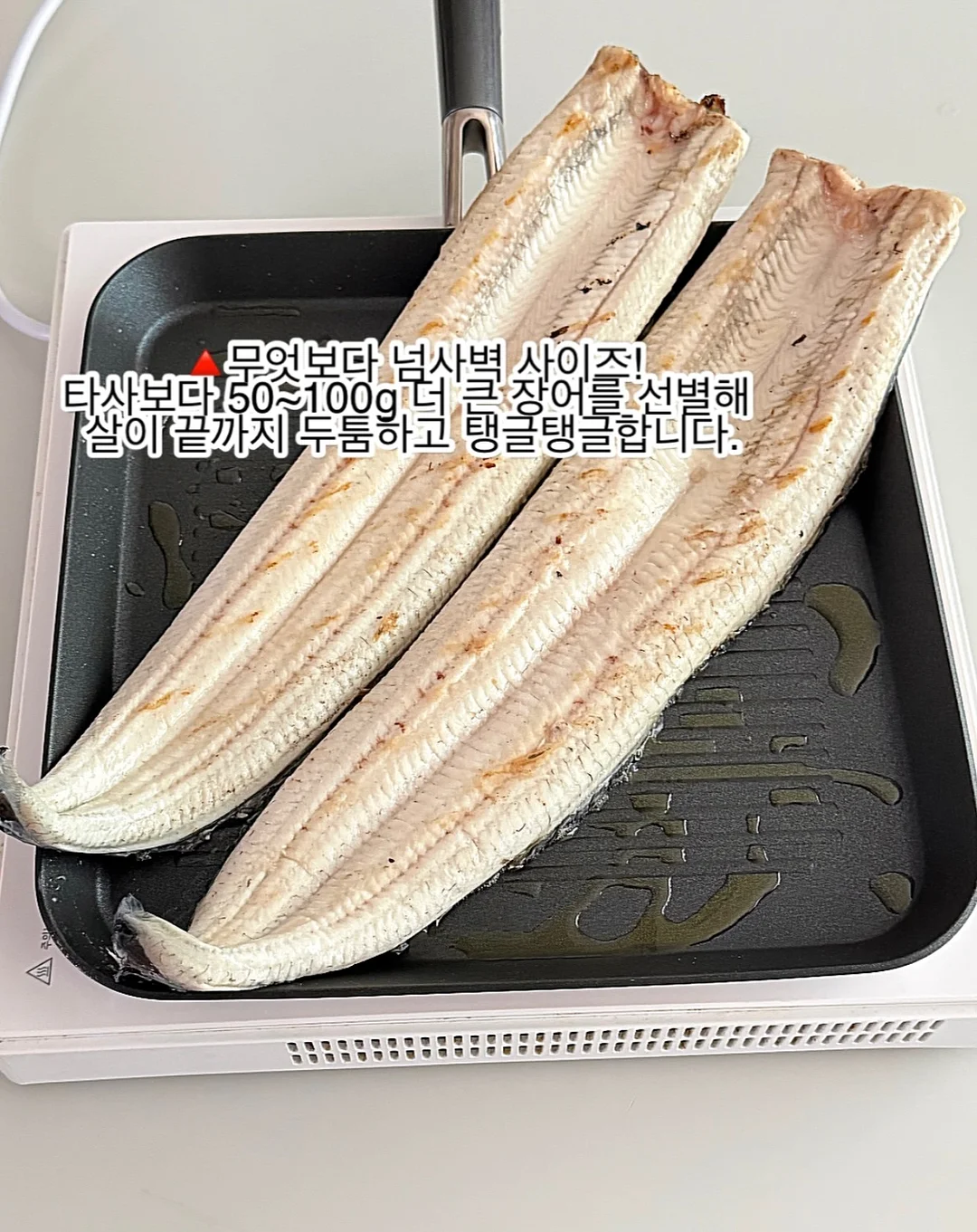 호피케이스 9