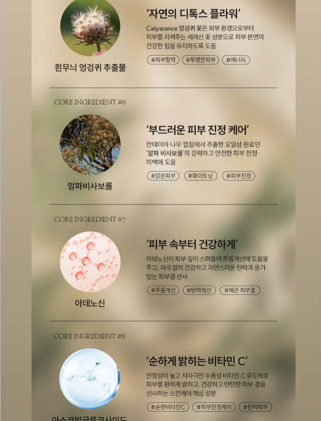 손풍기 18