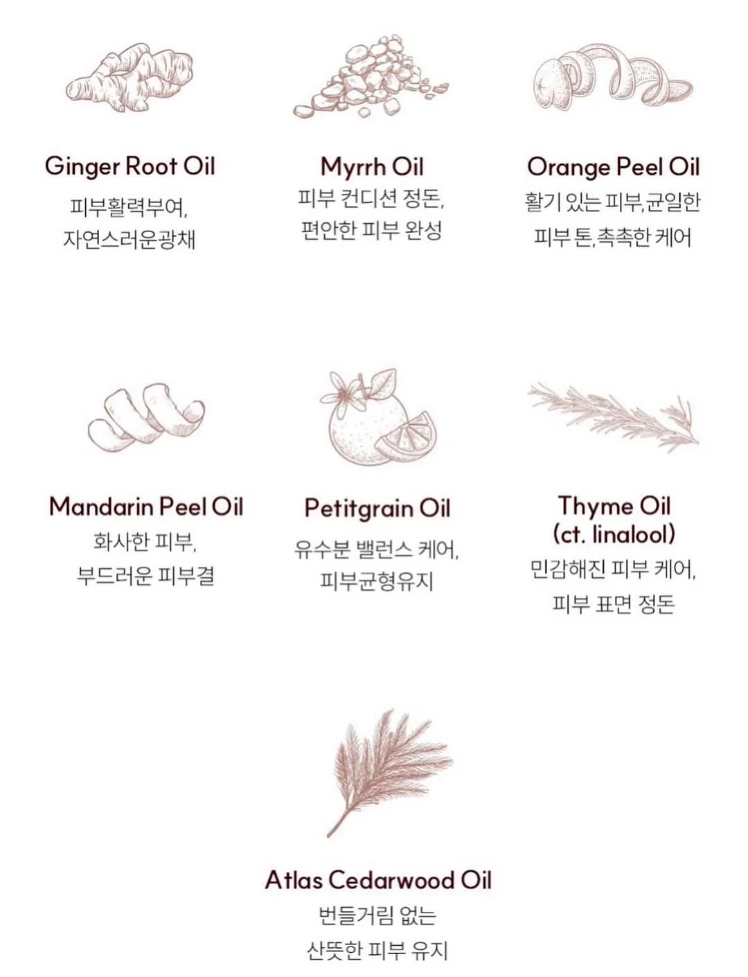 손풍기 19