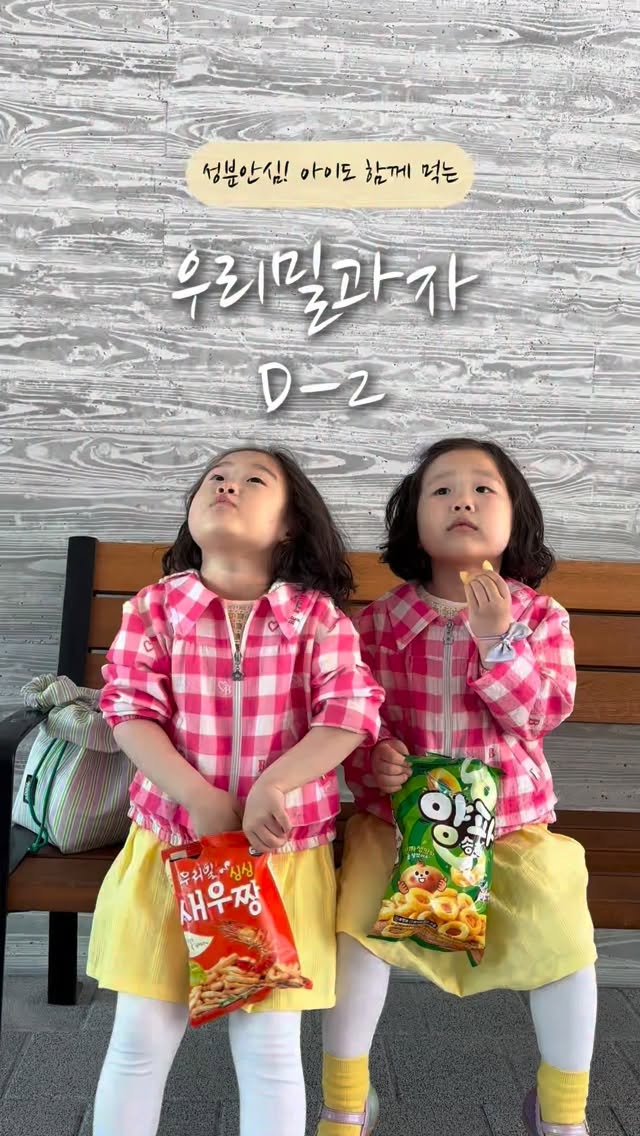 강아지 IQ테스트