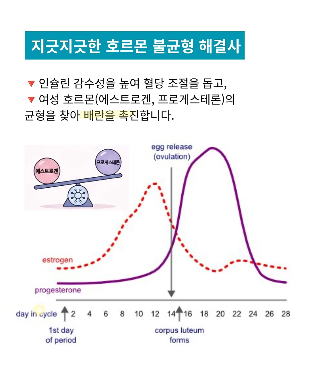 크롬 블랙 배색 반팔 3