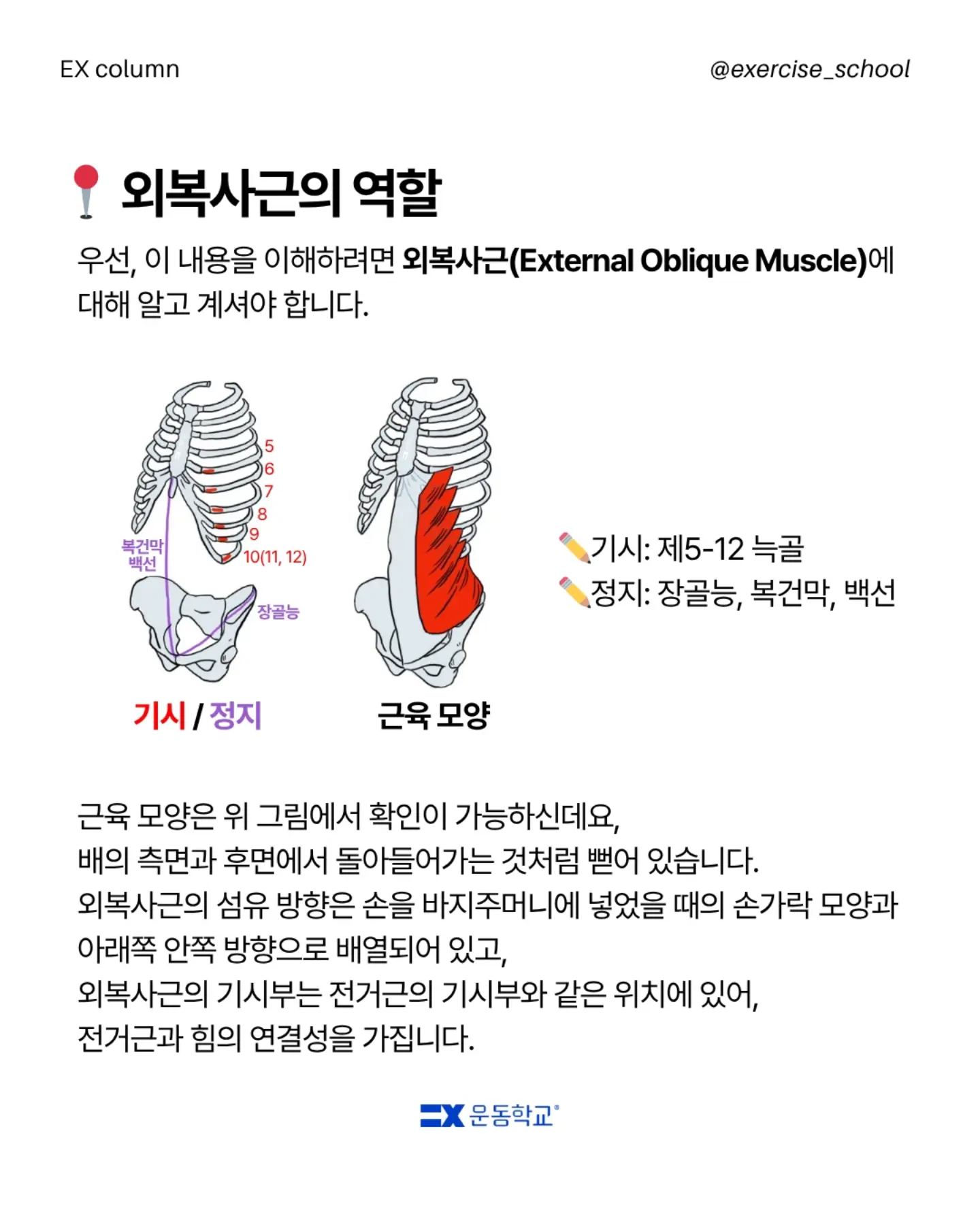 모렌 원피스 4