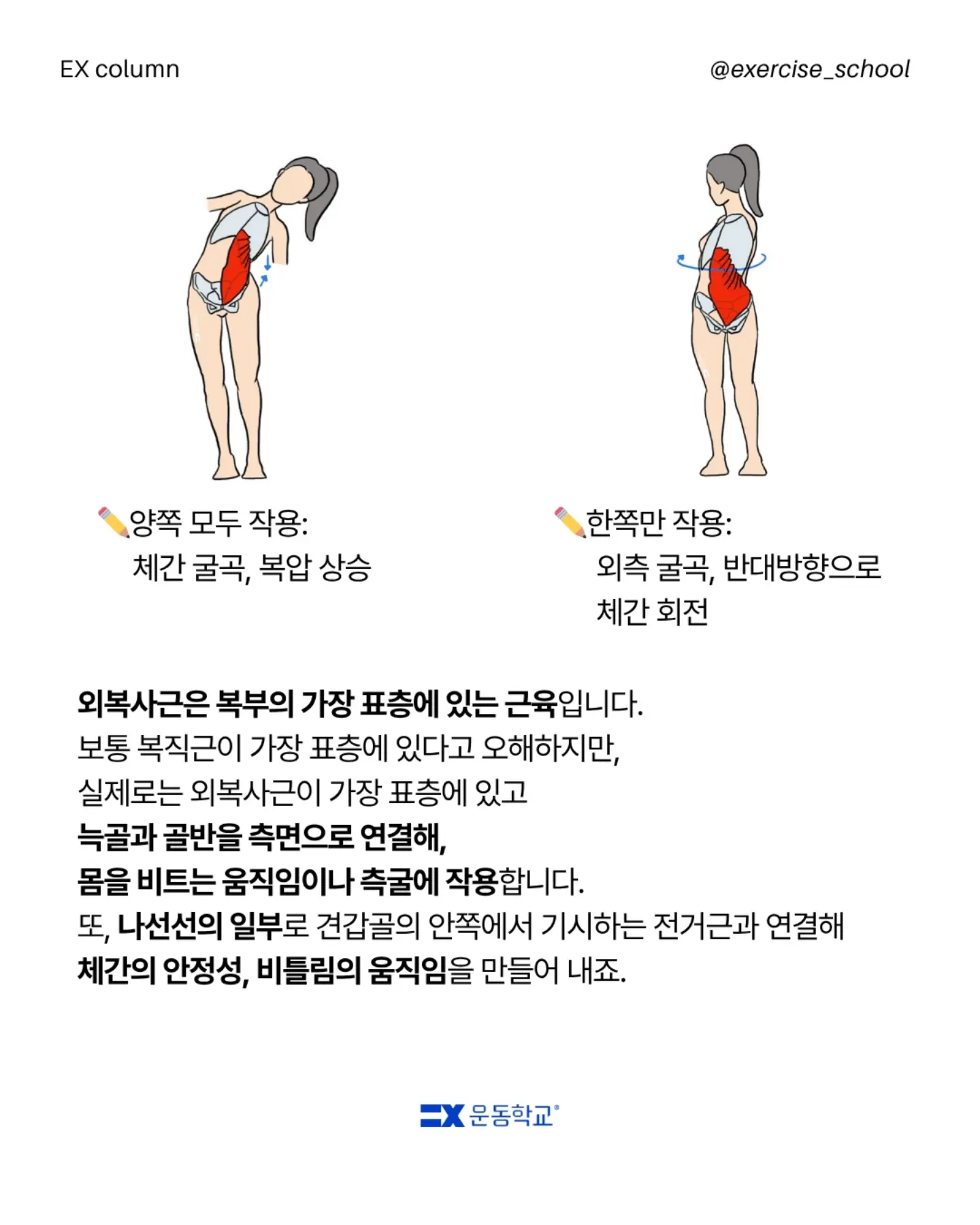모렌 원피스 5