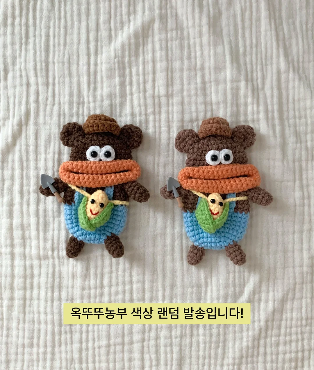 브레비폴리아 4