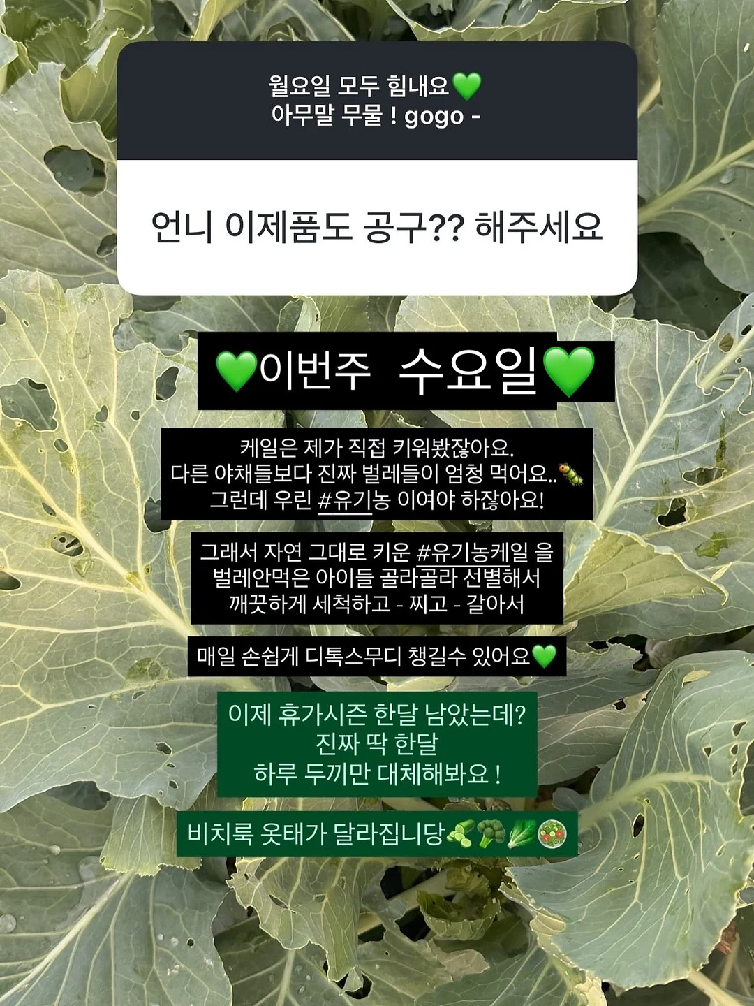 퐁당슈트 6