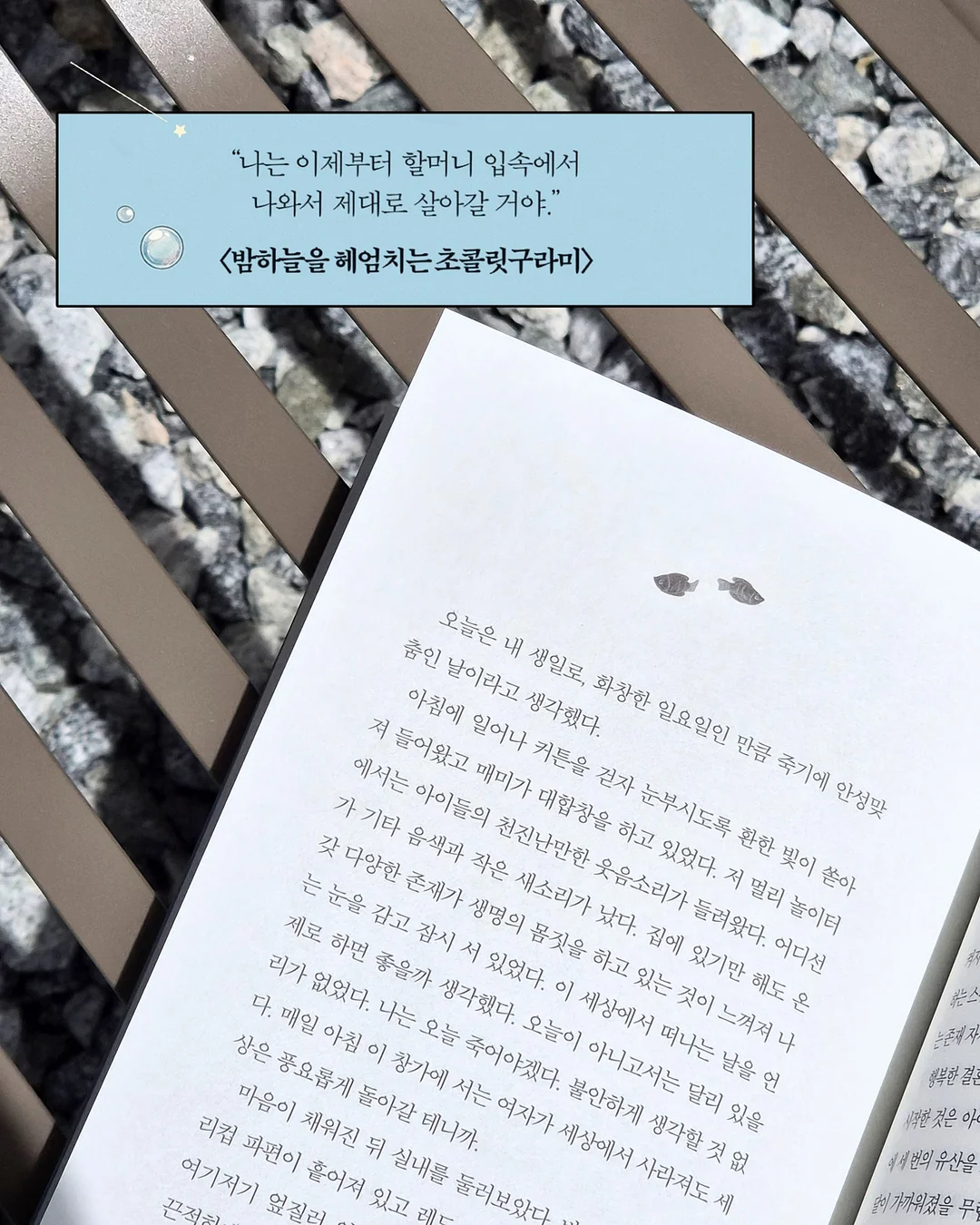 클레이하우스 굿즈 3