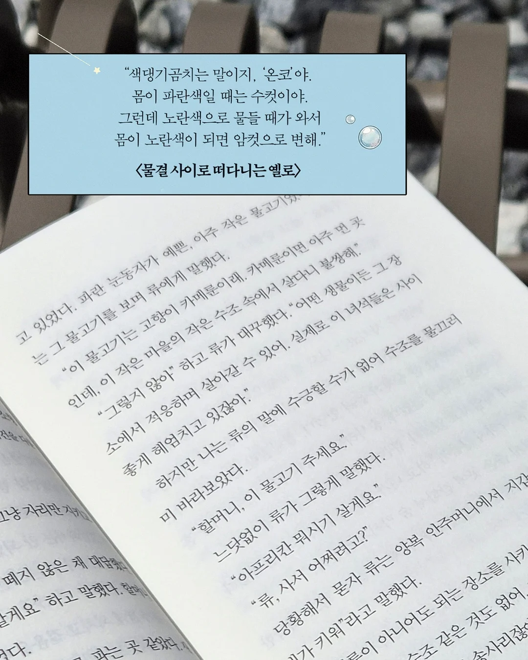 클레이하우스 굿즈 4