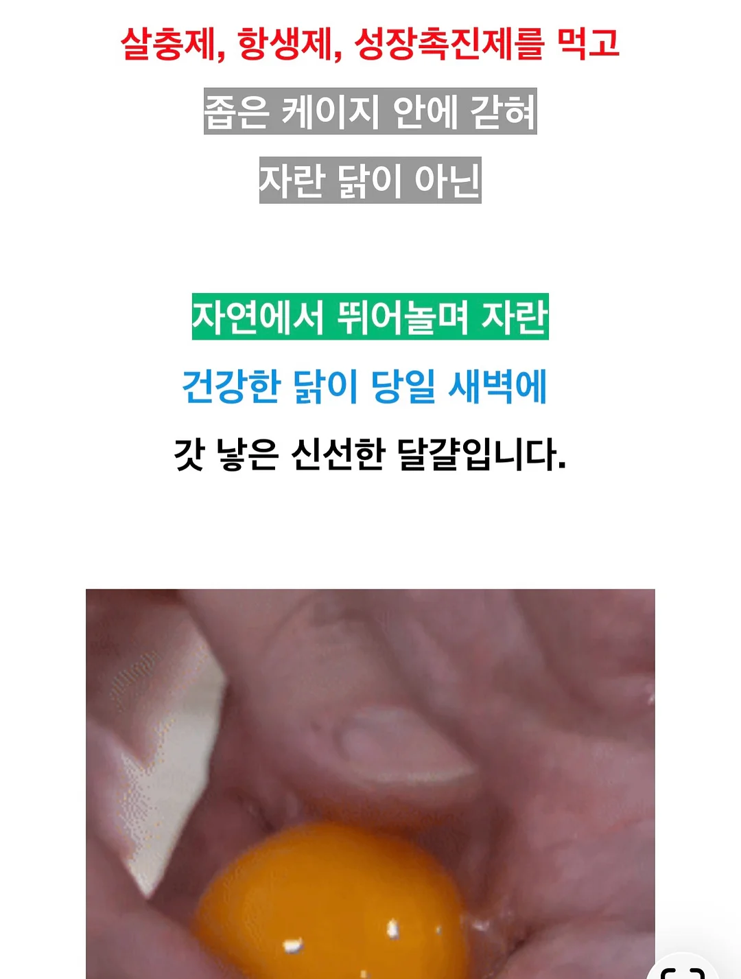 데스니 셔링 투피스 11