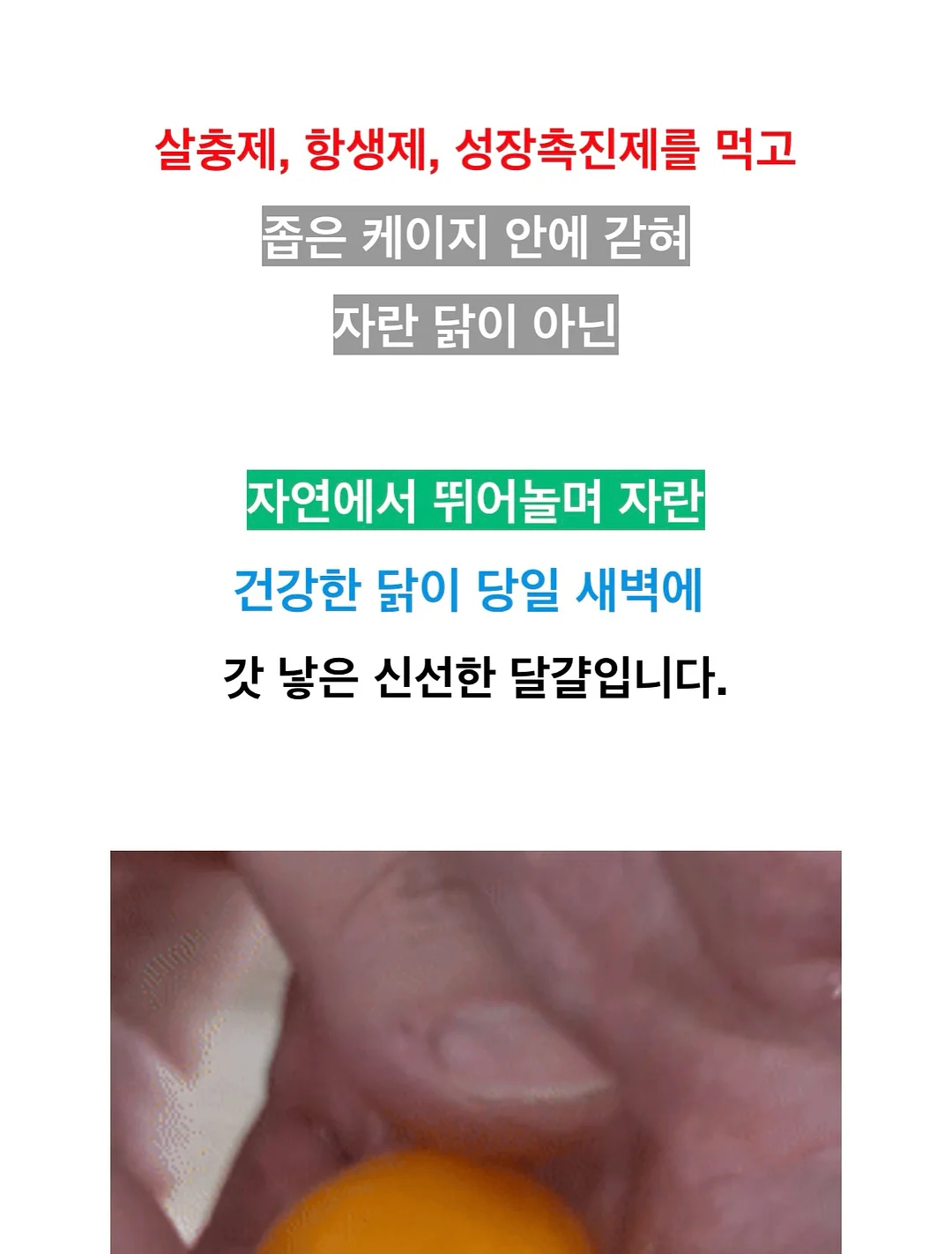 데스니 셔링 투피스 12