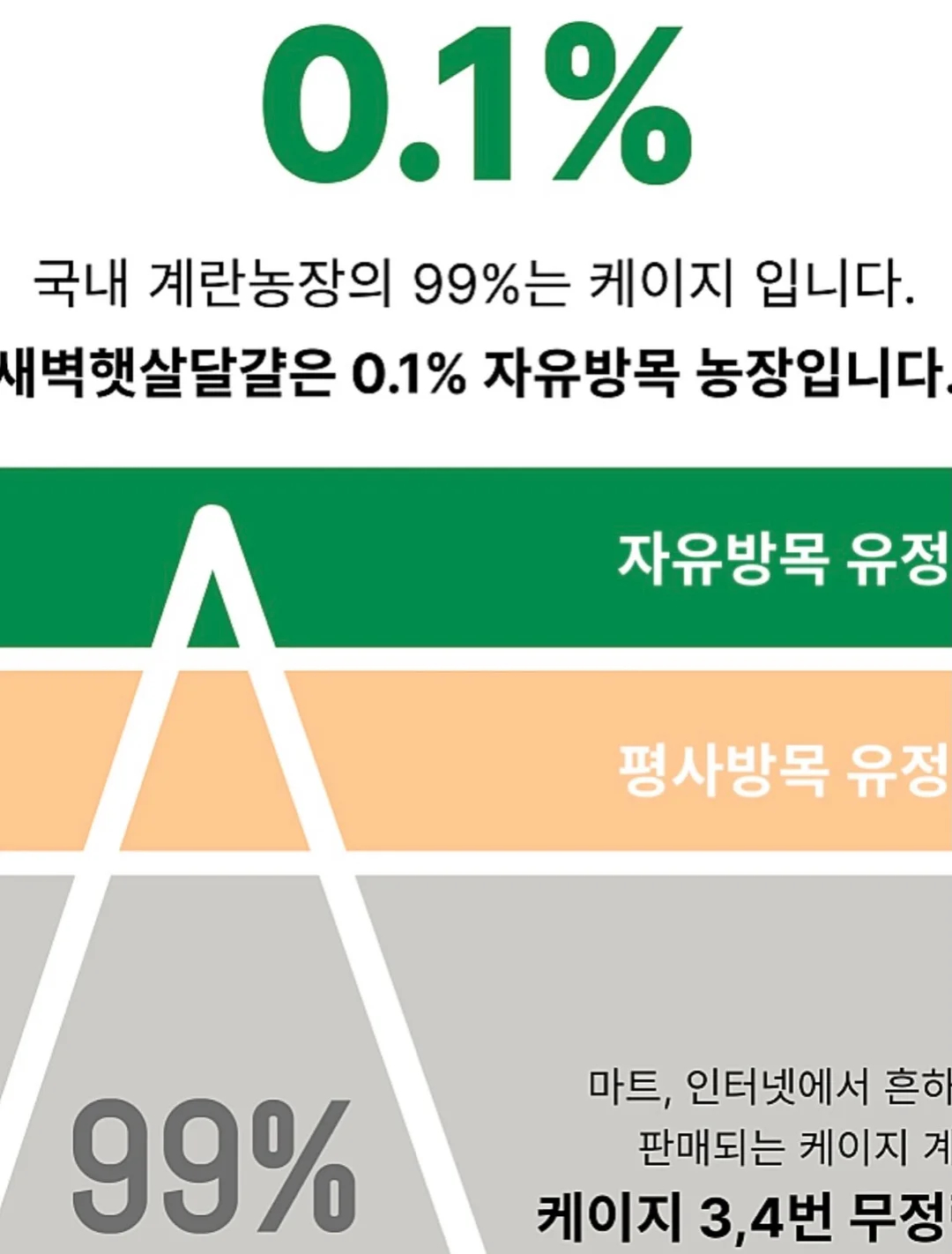 데스니 셔링 투피스 13