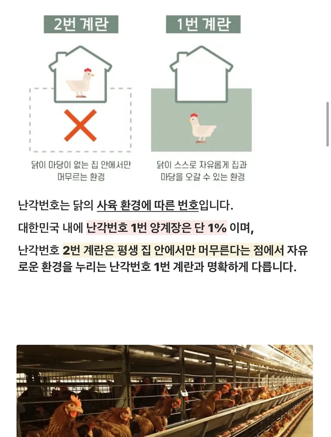 데스니 셔링 투피스 14
