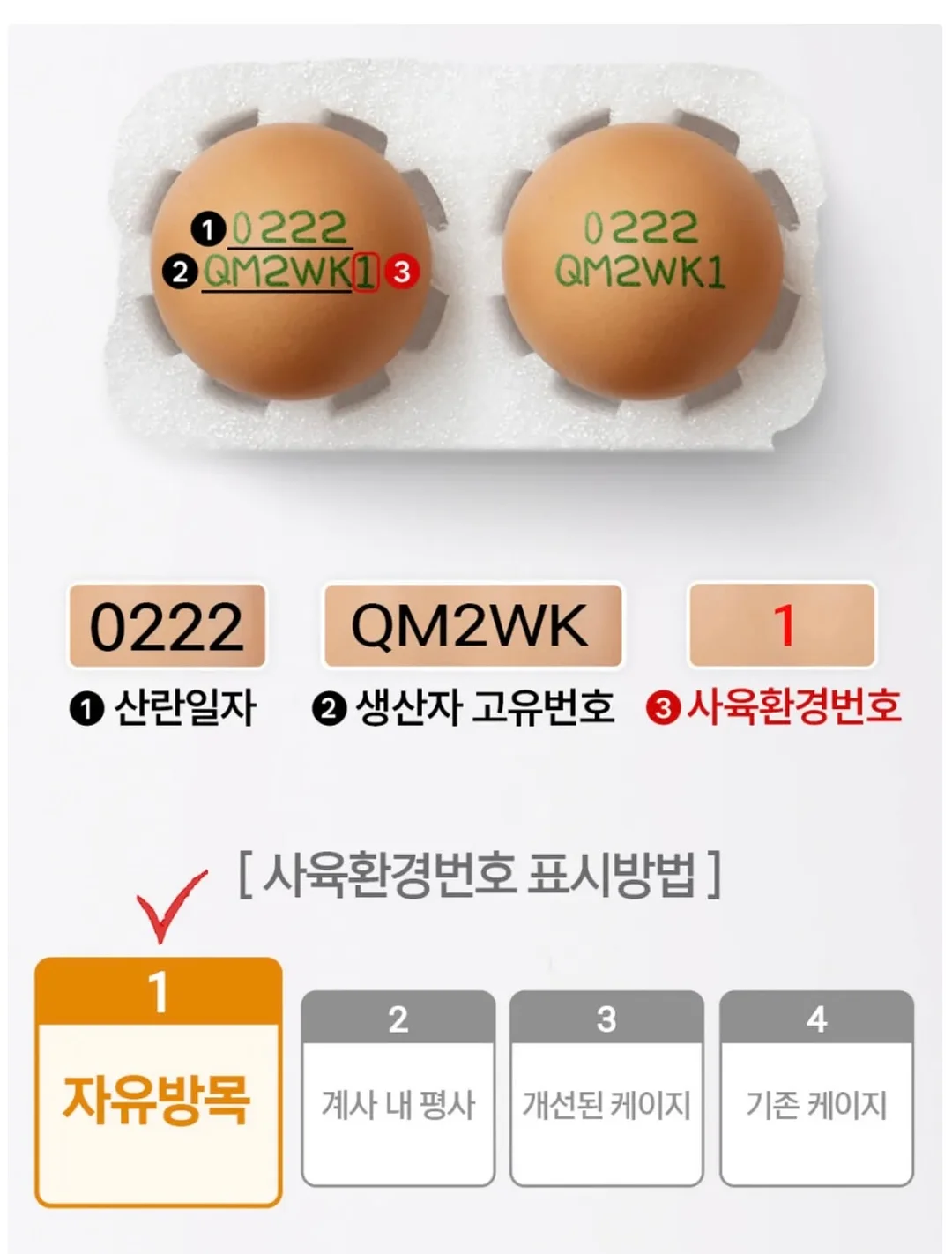 데스니 셔링 투피스 15