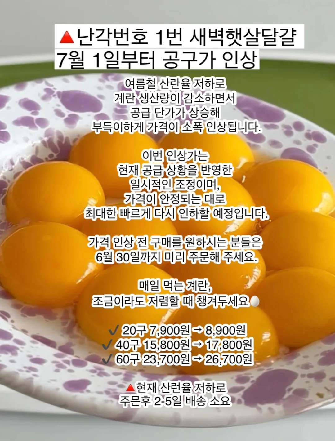 데스니 셔링 투피스 2