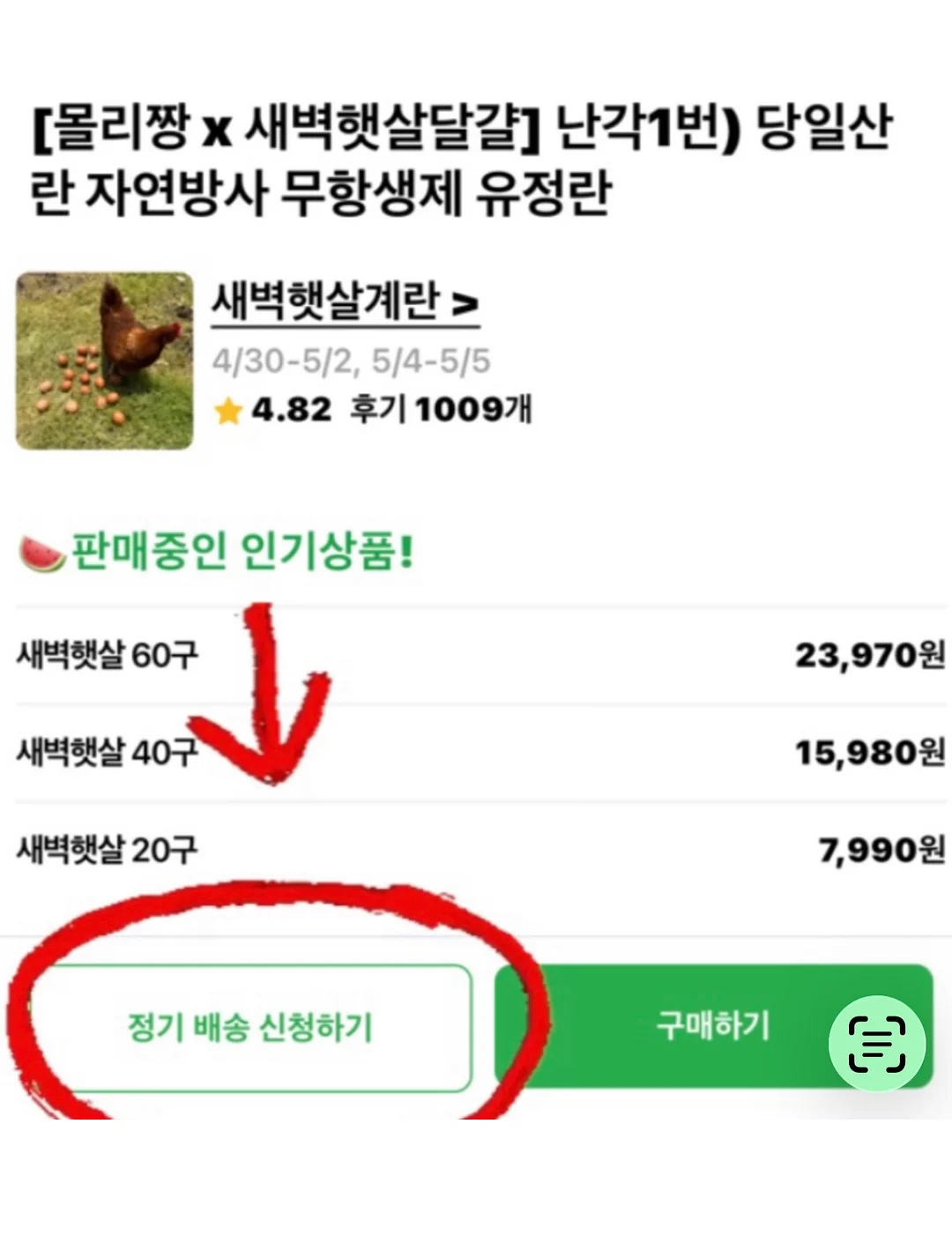 데스니 셔링 투피스 3