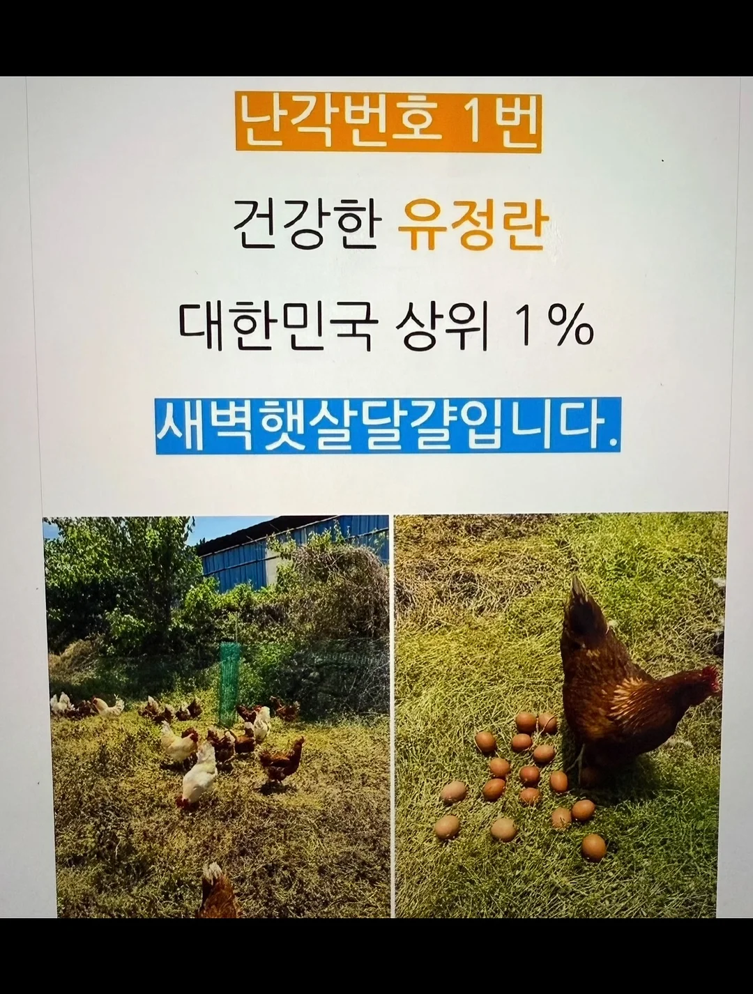 데스니 셔링 투피스 10