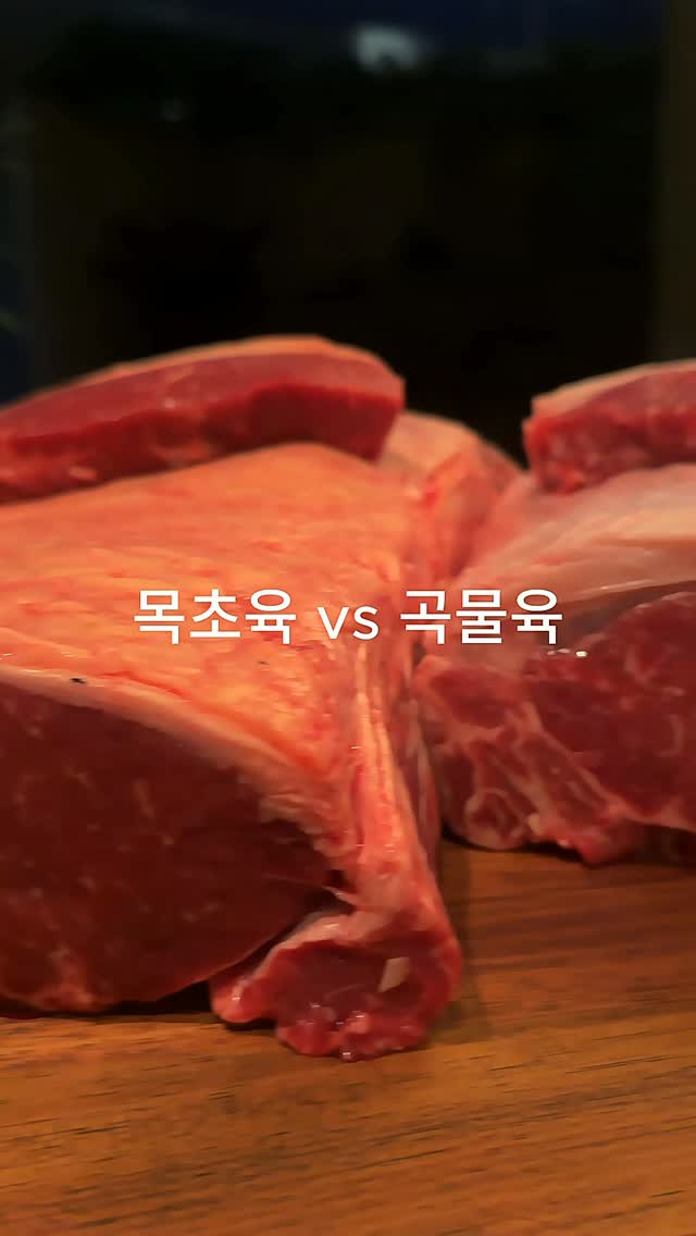 천연 보존 용기