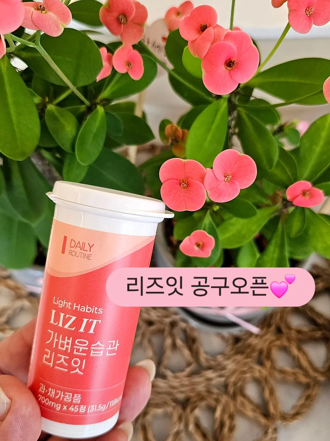 닥터레이 영양제 1
