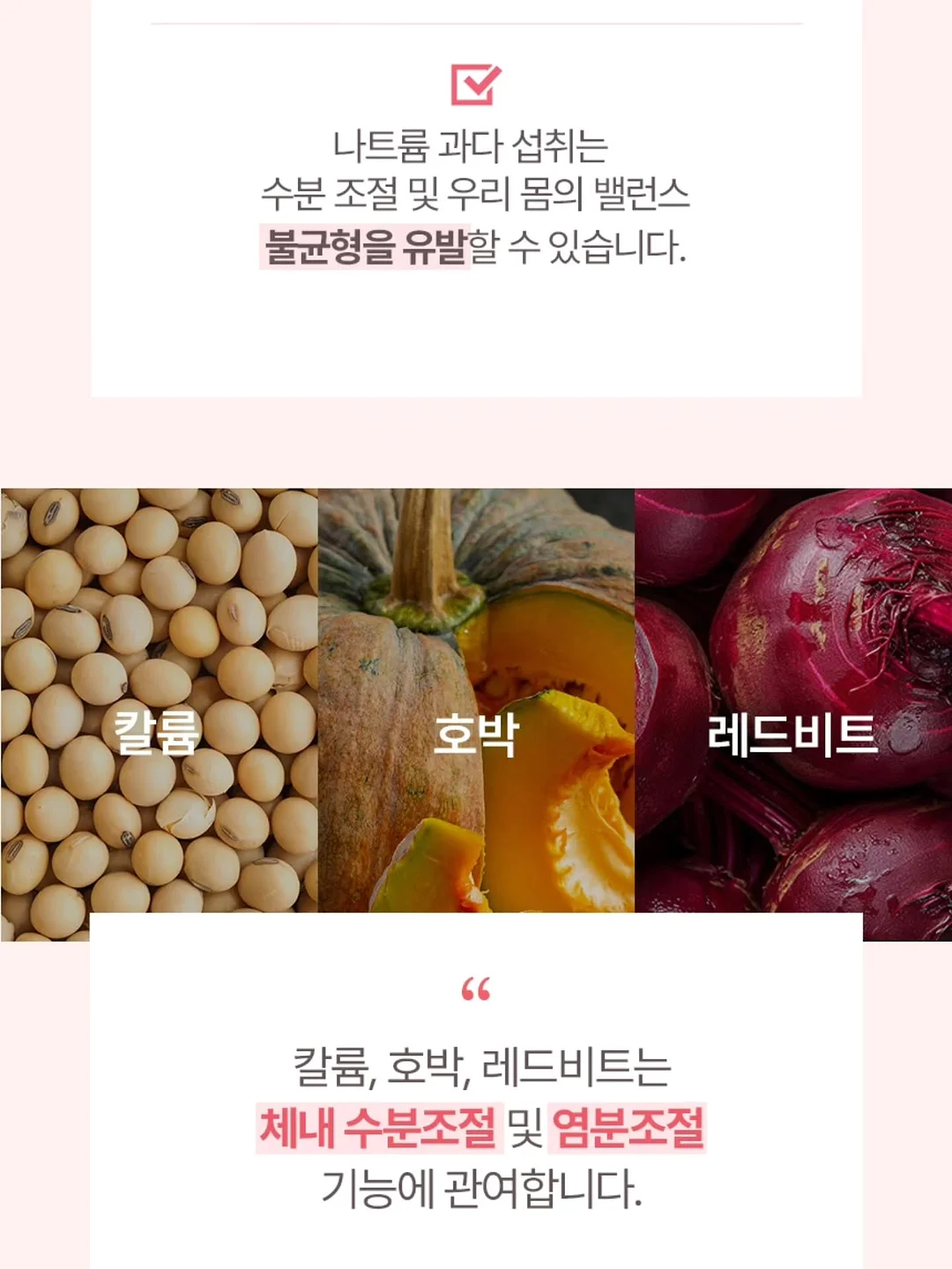 닥터레이 영양제 6