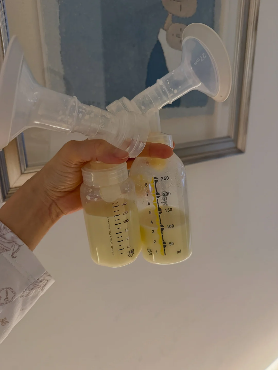 제이어스 교육 일정 12