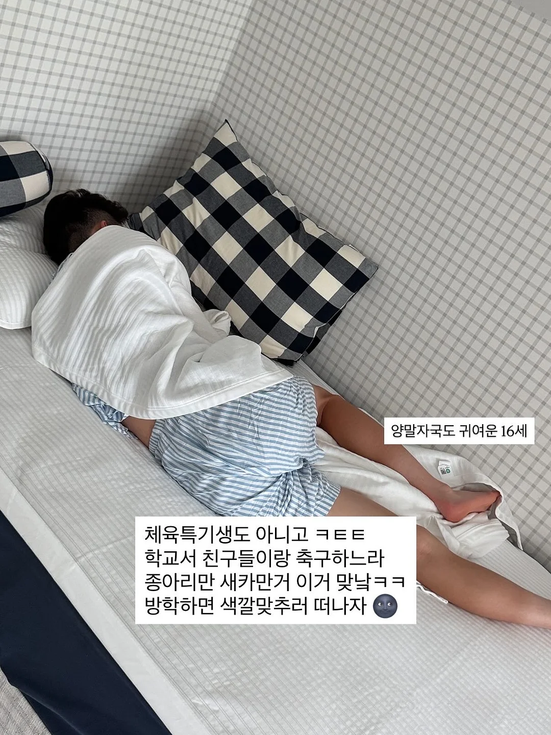 수면공감 우유베개 9
