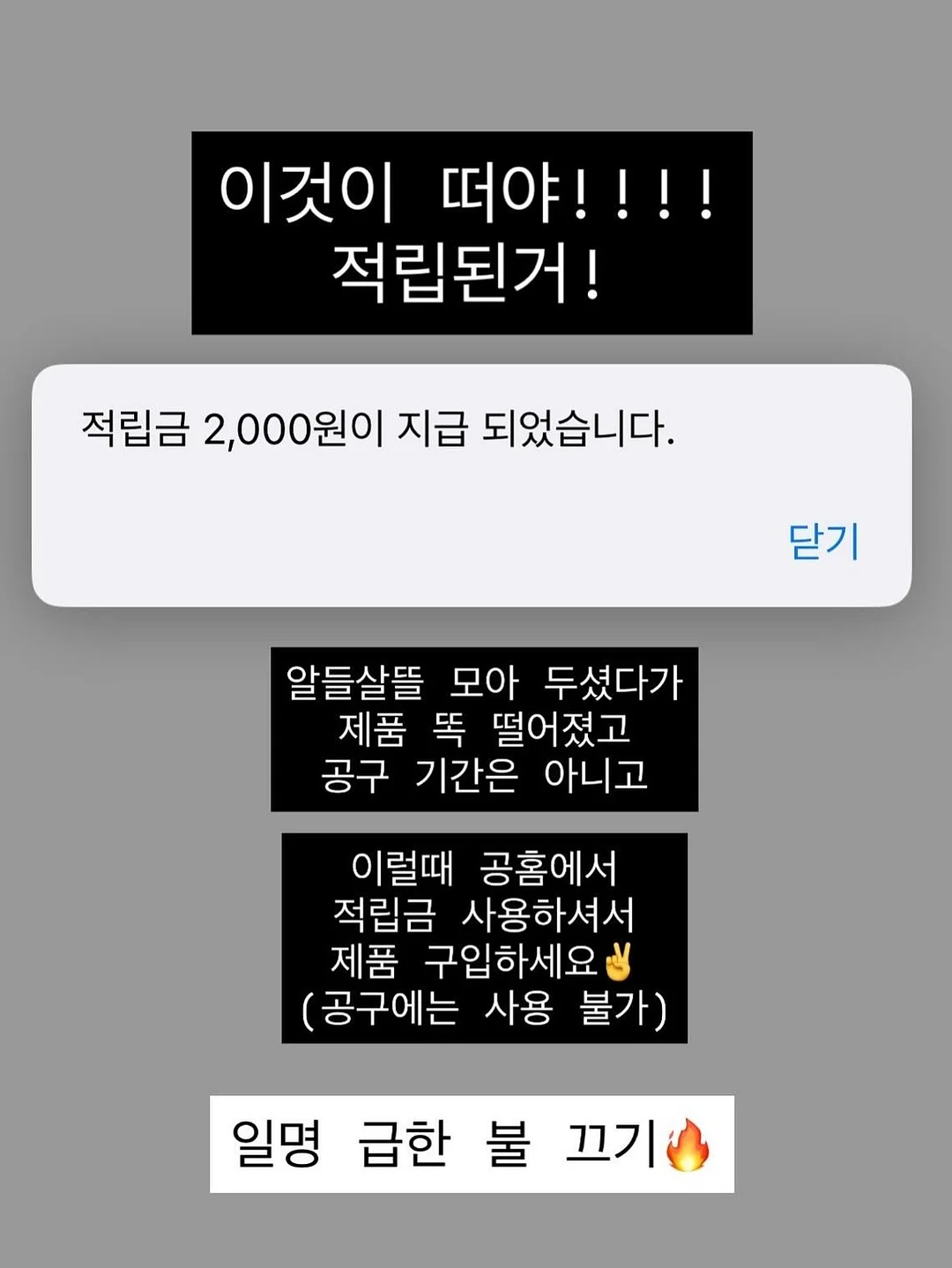 한우곰탕 10