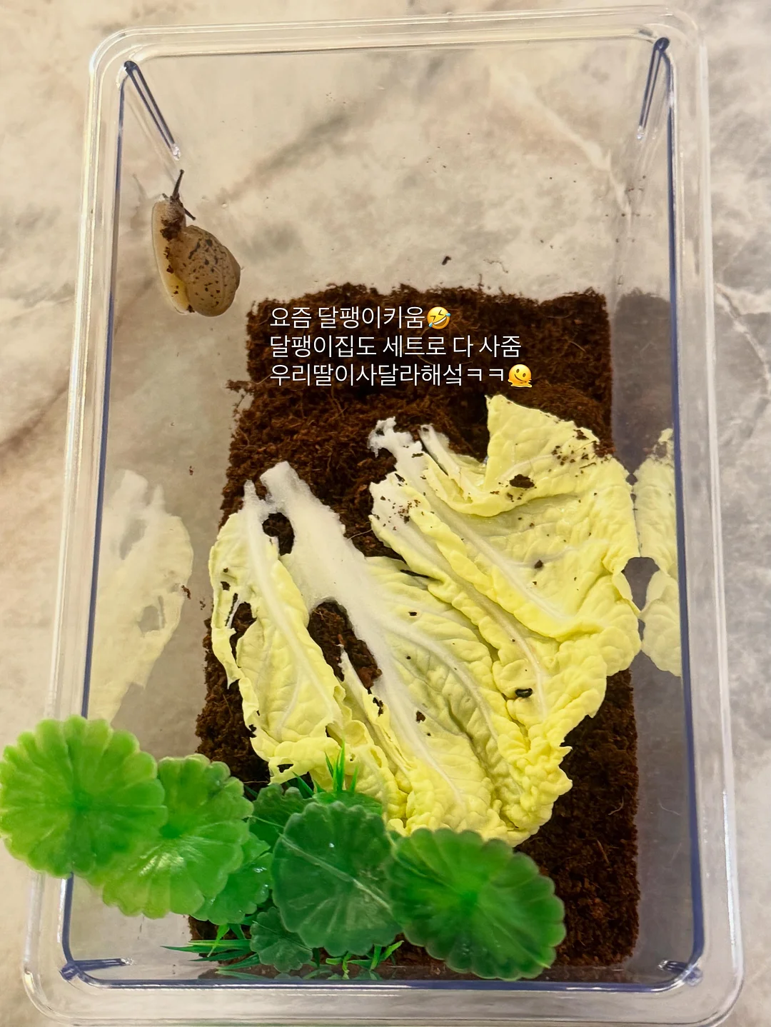 선풍기 19