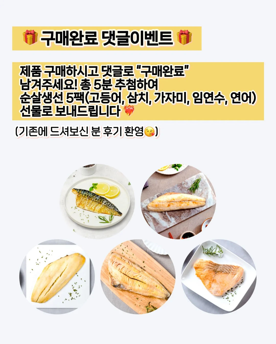 누그레이 제품 3