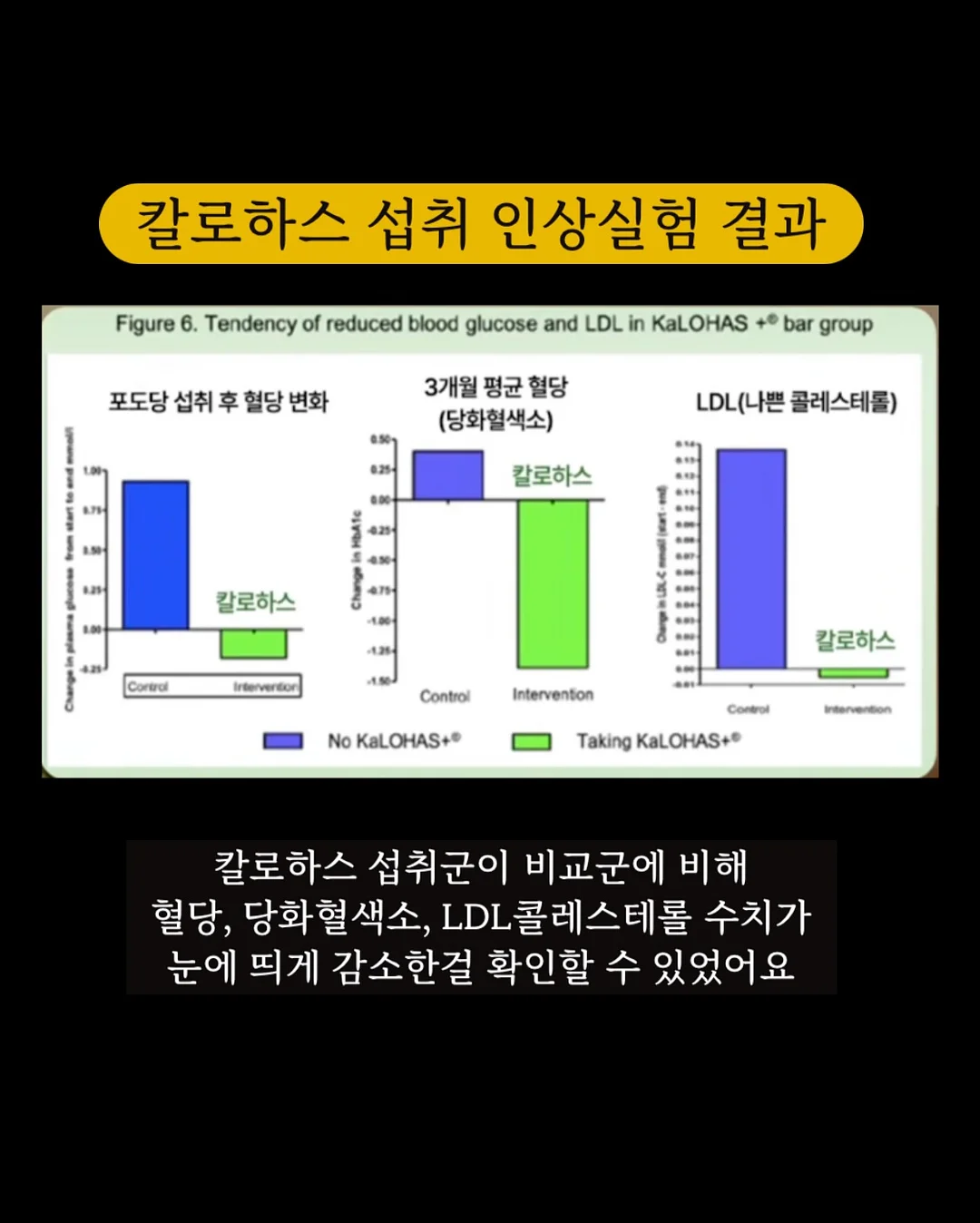 소렉스 패스트리 도마 4