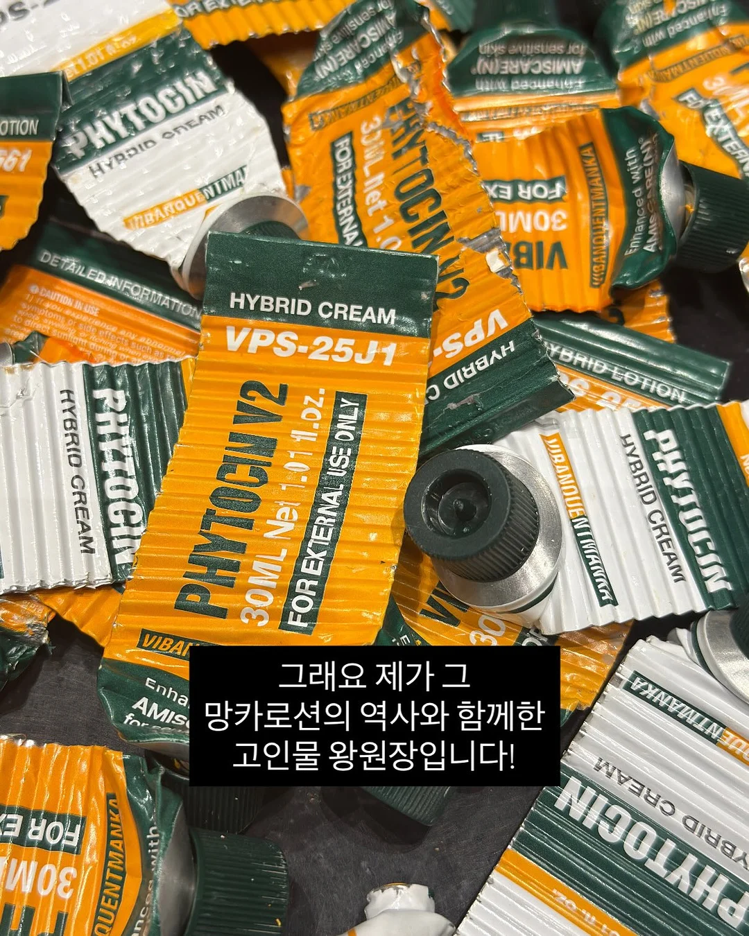 고양이 아코디언 장난감 2