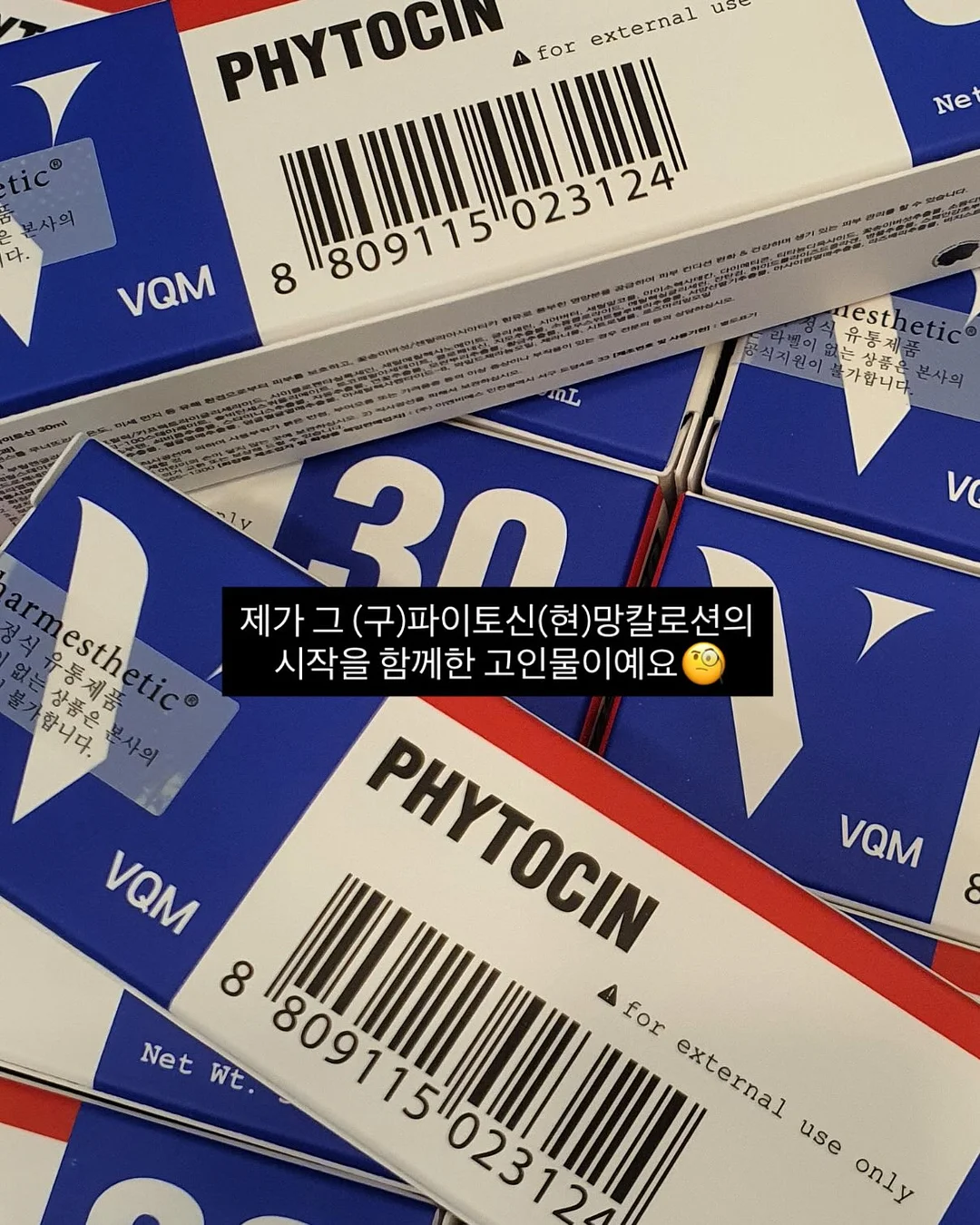 고양이 아코디언 장난감 3