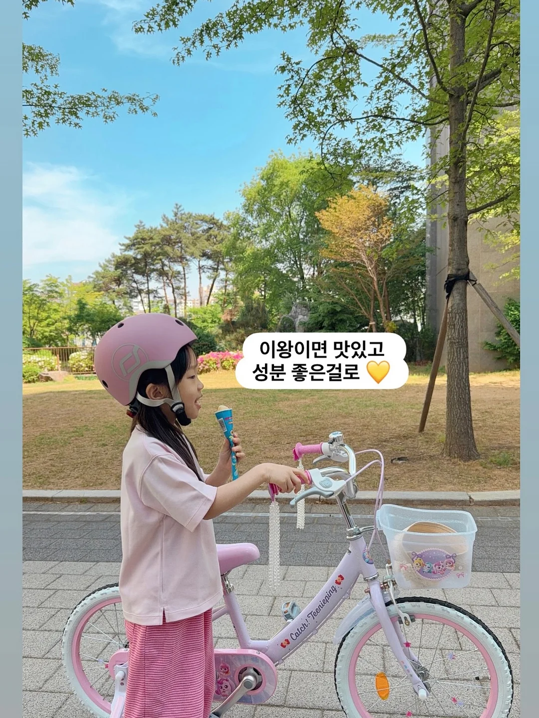 싸움의 교양 13