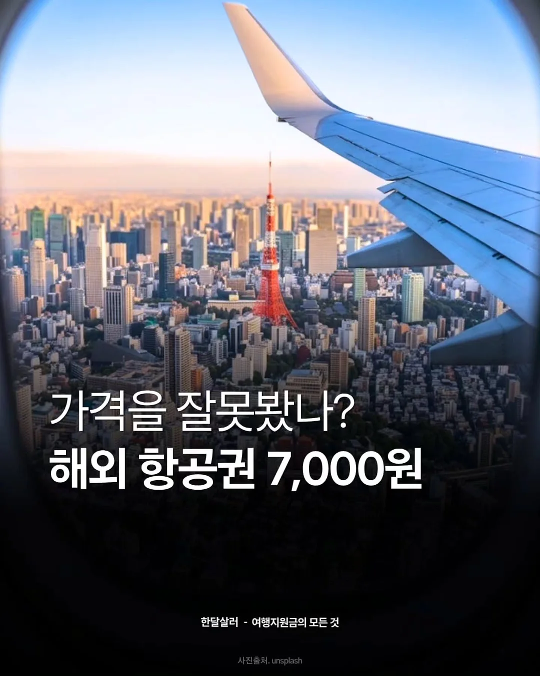 낙지호롱구이 7입 1