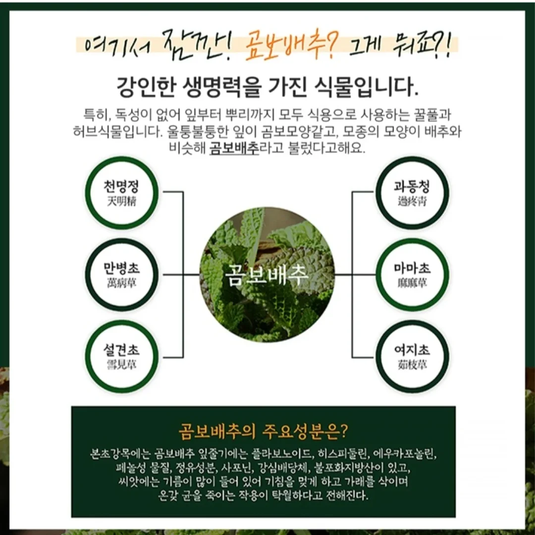 나비 가방 2